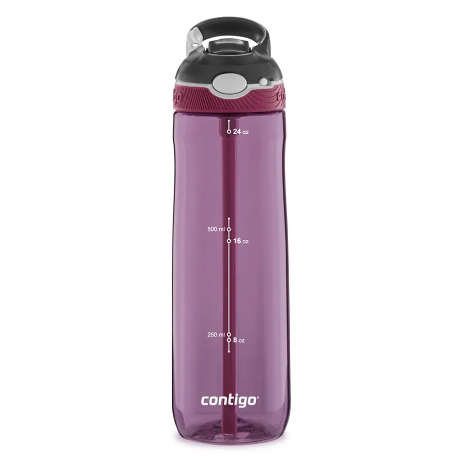 Contigo Ashland Tek El Bas İc Kilitli Su Matarasi - Mor | 720ml